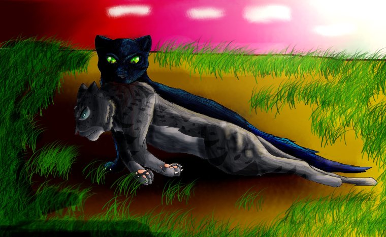 Коты Воители Ледозвезд