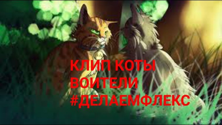 Коты Воители