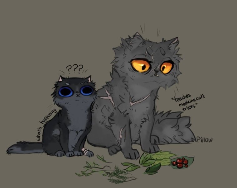 Коты Воители Щербатая и Пепелюшка