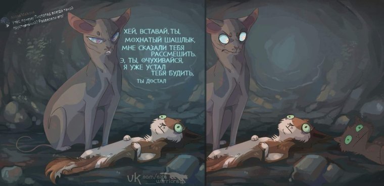 Коты Воители листопад и утёс