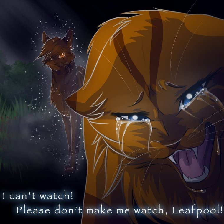 Коты Воители Ривер спирит смерти