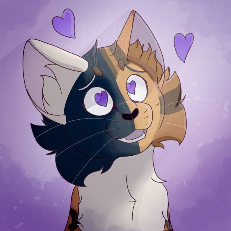 Коты Воители коммишки