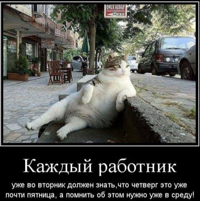 Ищу выносливого собутыльника для совместного преодоления