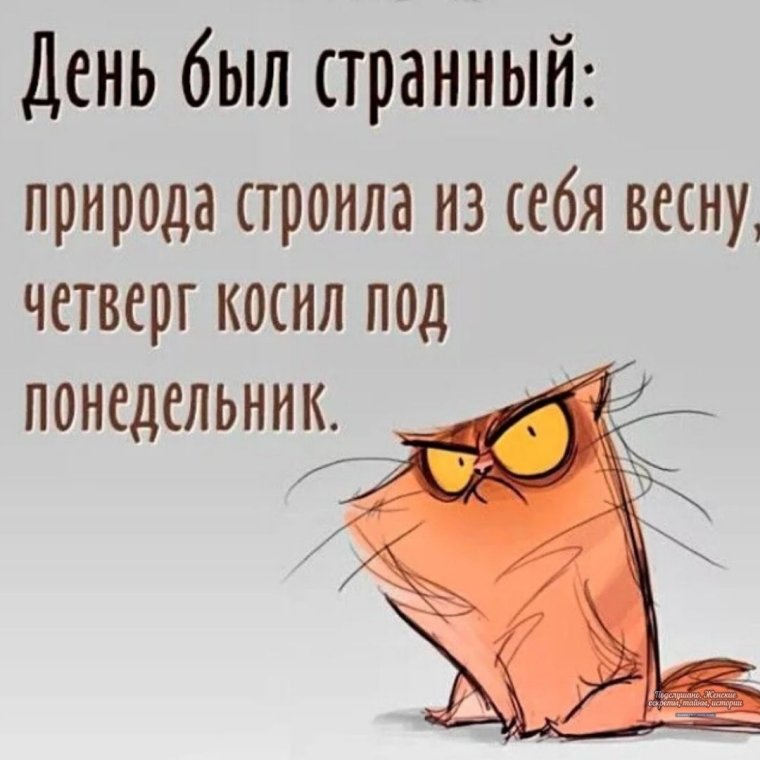 Шутки про четверг