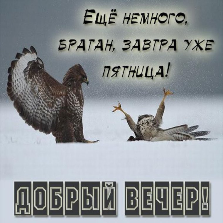 Доброе утро мотивация