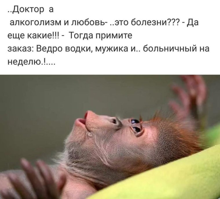 Умные и смешные высказывания