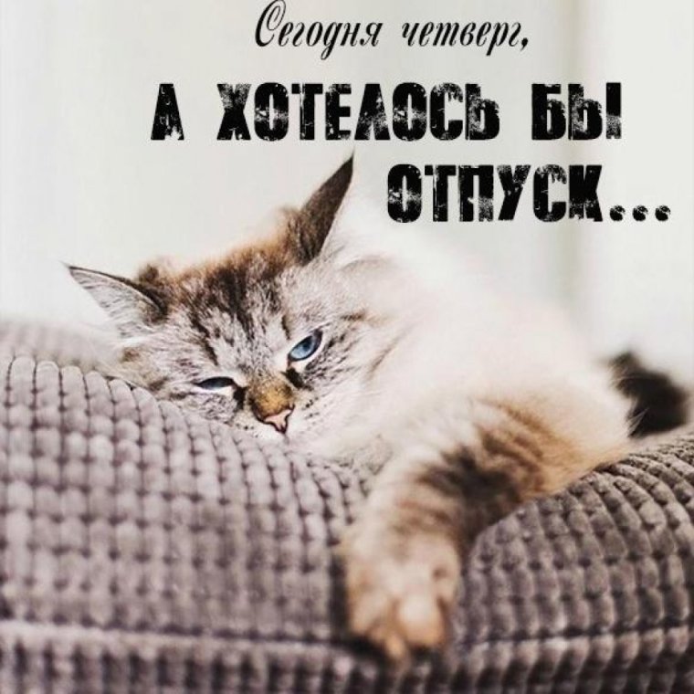 Афоризмы на каждый день прикольные