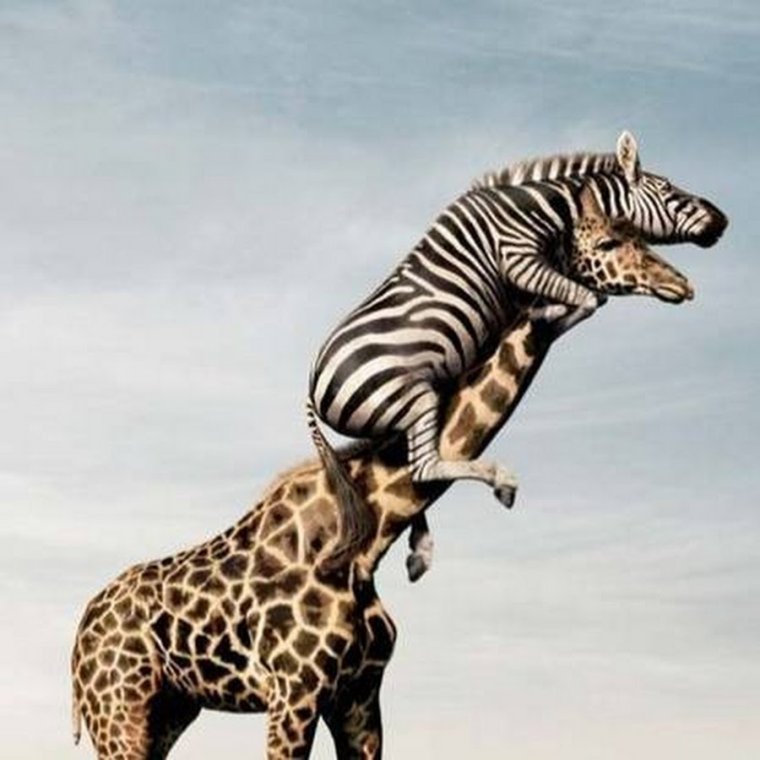 Пятницу не видно