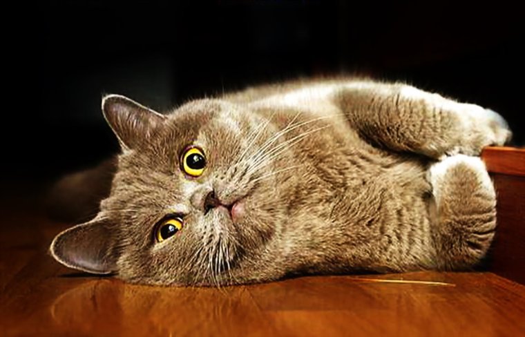 Открытка завтра пятница