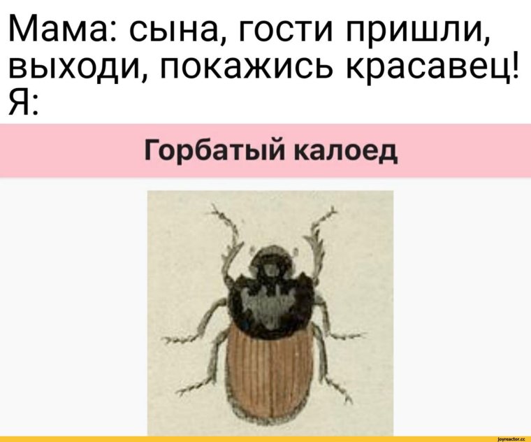 Вадим Дубровин сериал жуки