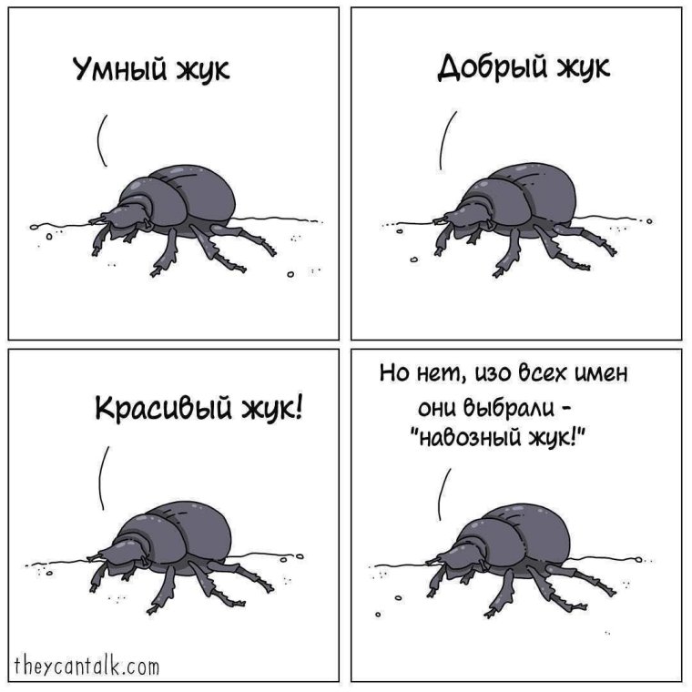 Мемы с жуками