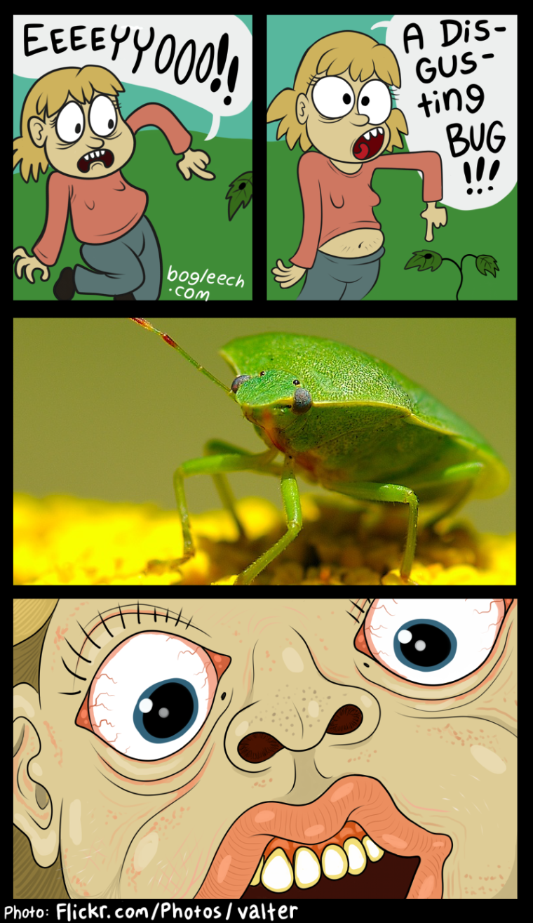 Жук навозник Мем