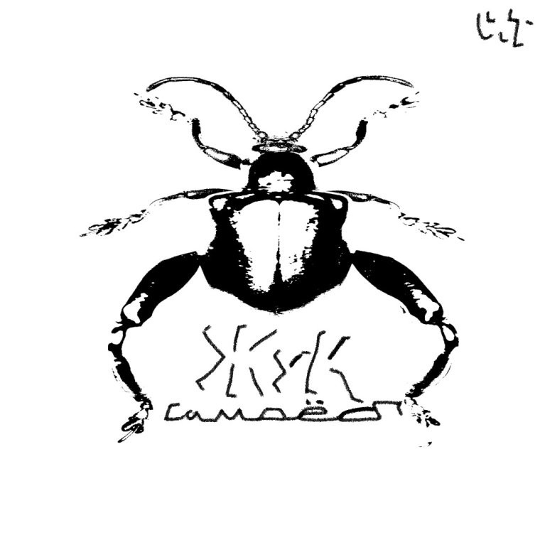 Майский Жук с ресничками