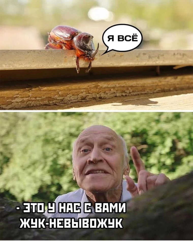 Павел комаров актер жуки