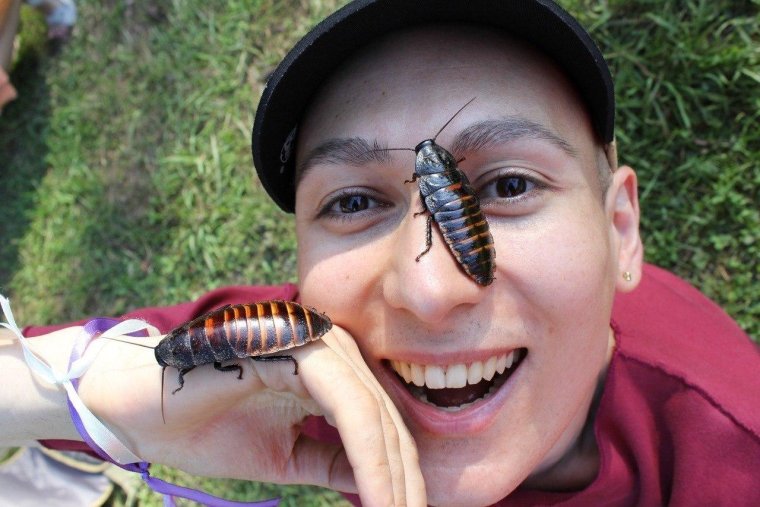 Колорадский Жук юмор