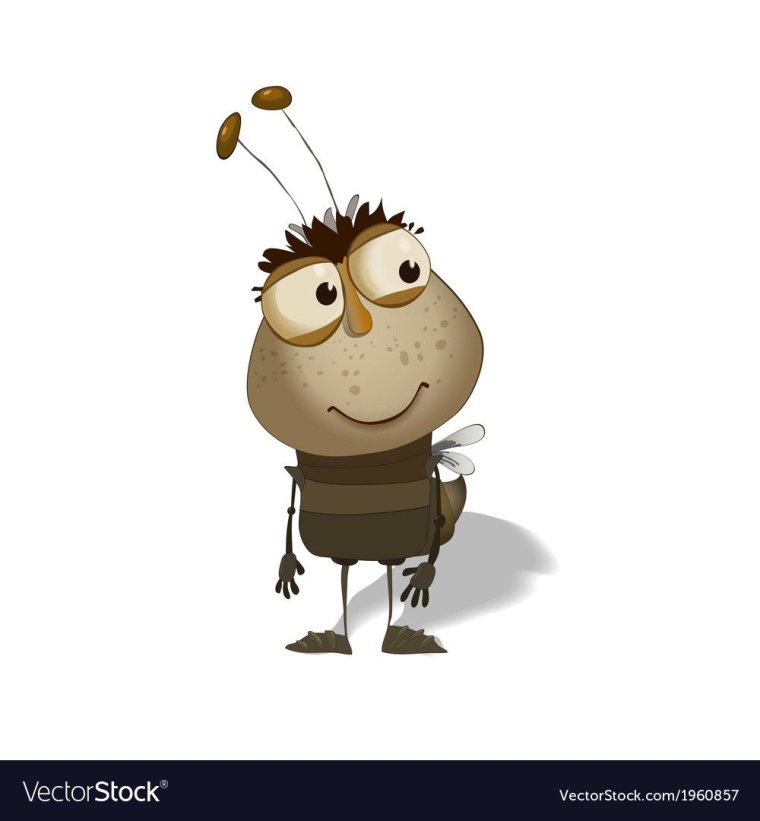 Екатерина Стулова жуки