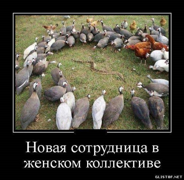 Демотиватор Разделение