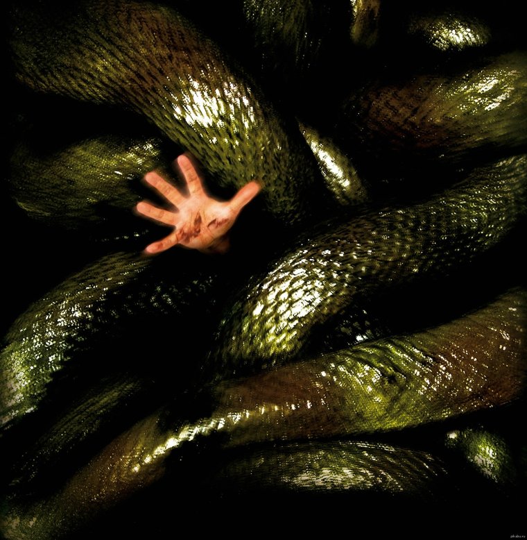 Анаконда 2 охота