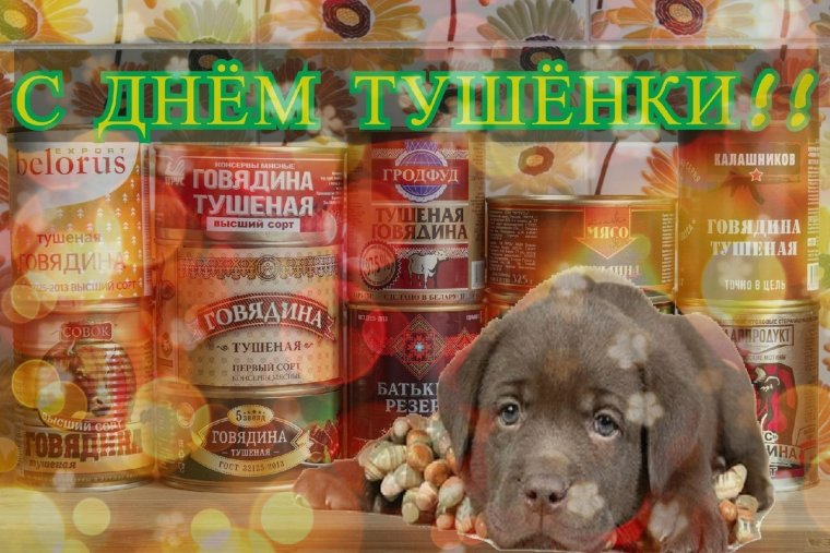С днем рождения банка тушенки