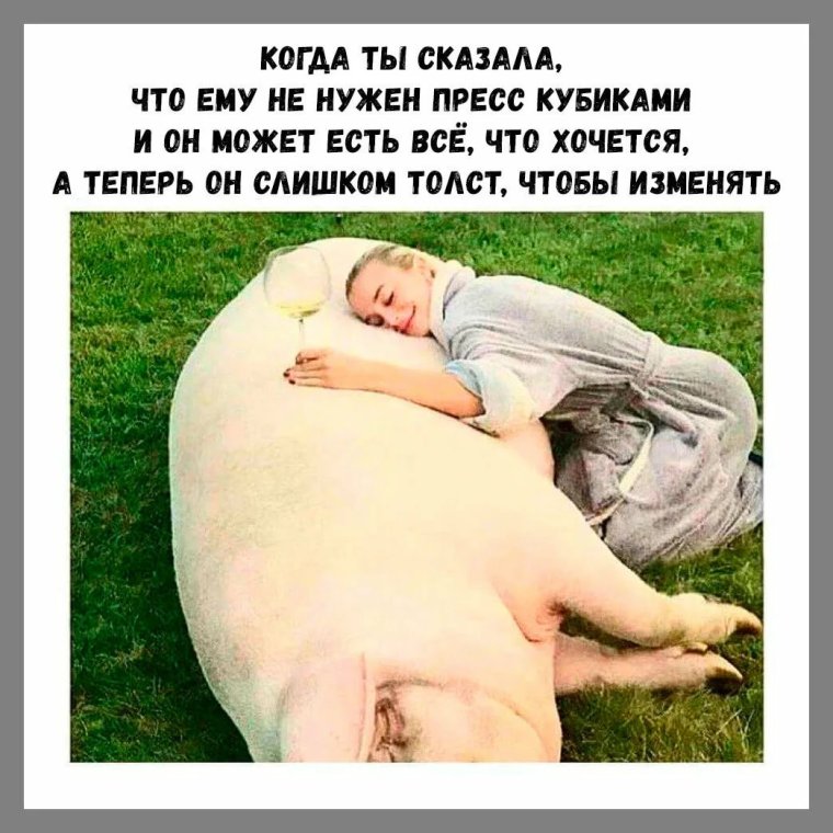 Приколы до слез с надписями