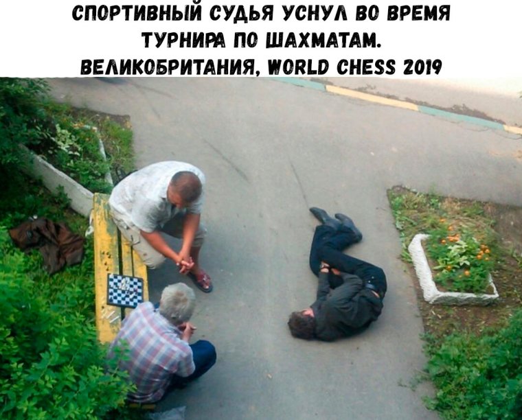 Приколы 2019 с надписями