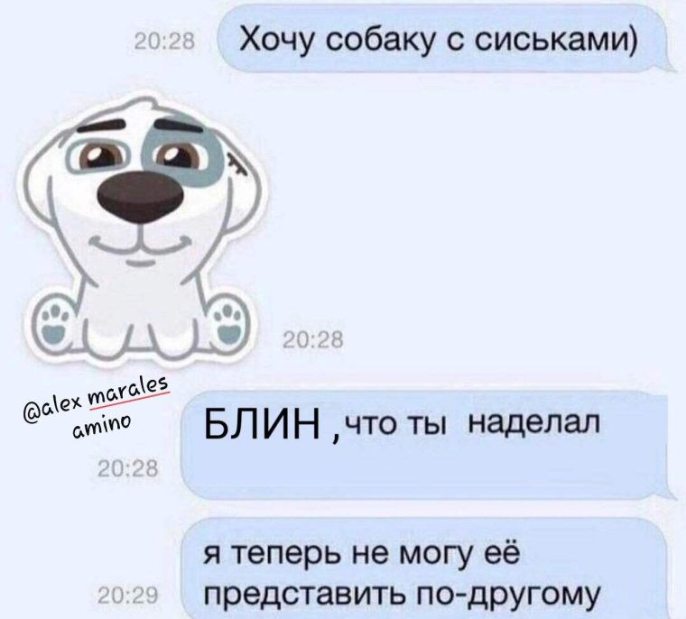 Шутки в ВК