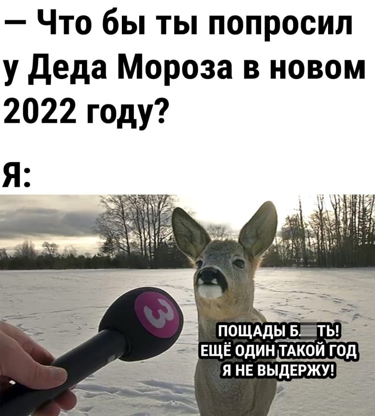 Самые смешные шутки 2022