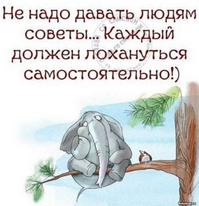 Смешные цитаты