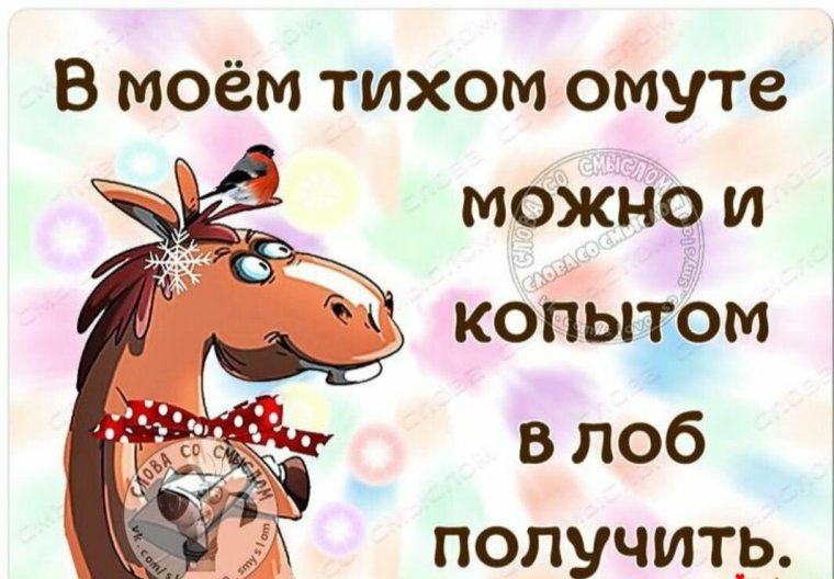 Веселые статусы