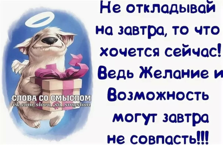 Цитаты со смыслом прикольные и смешные