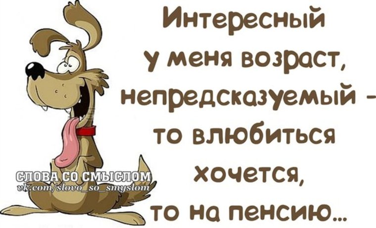 Смешные статусы со смыслом