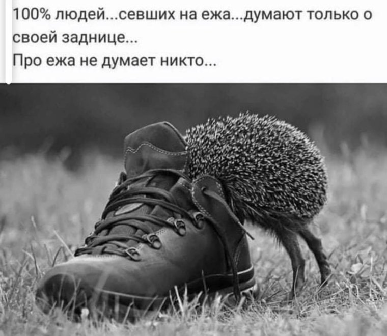 Смешные цитаты со смыслом