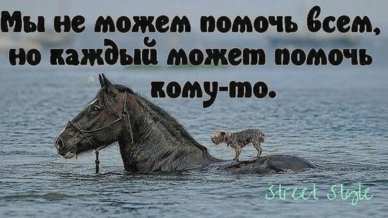 Картинки с надписями со смыслом прикольные