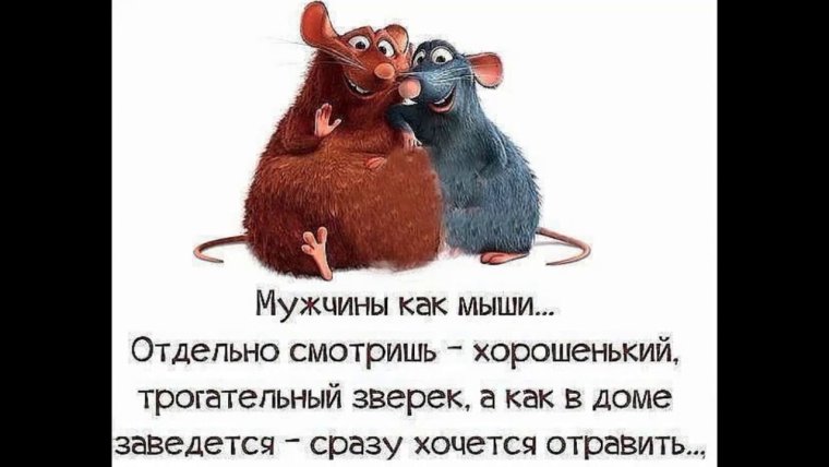 Прикольные высказывания в картинках