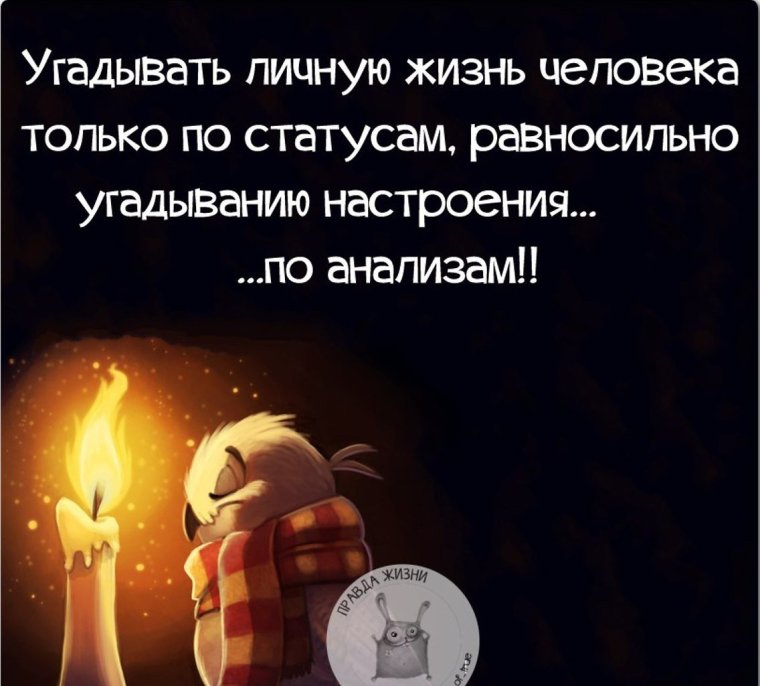 Прикольные фразы про жизнь