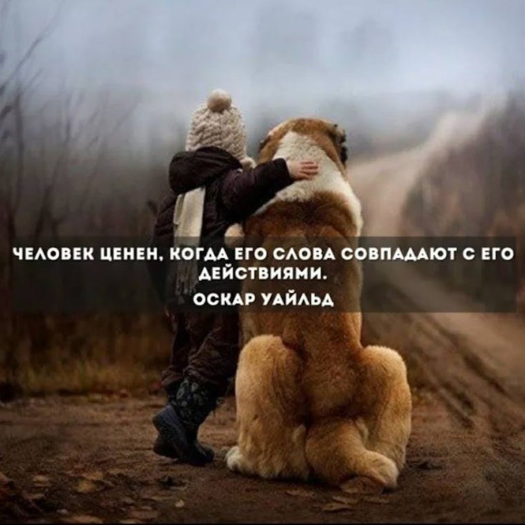 Умные мысли о жизни