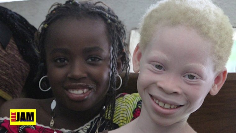 Чистокровный африканец