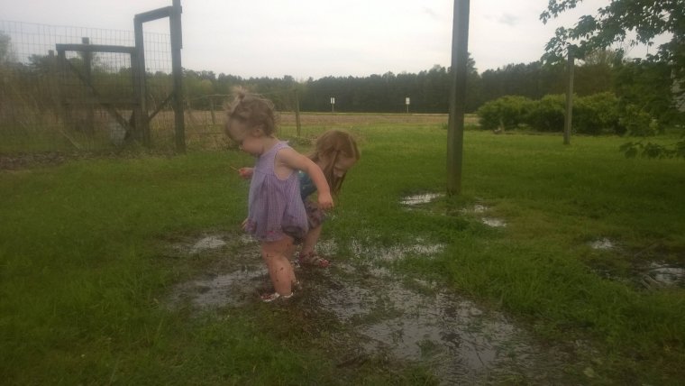 Таньки грязи не боятся демотиватор