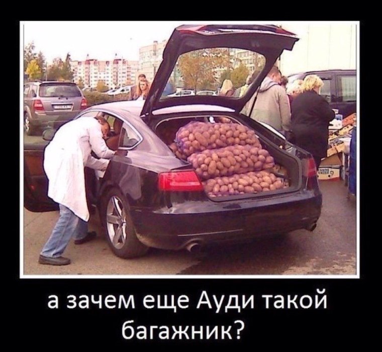Приколы про Ауди