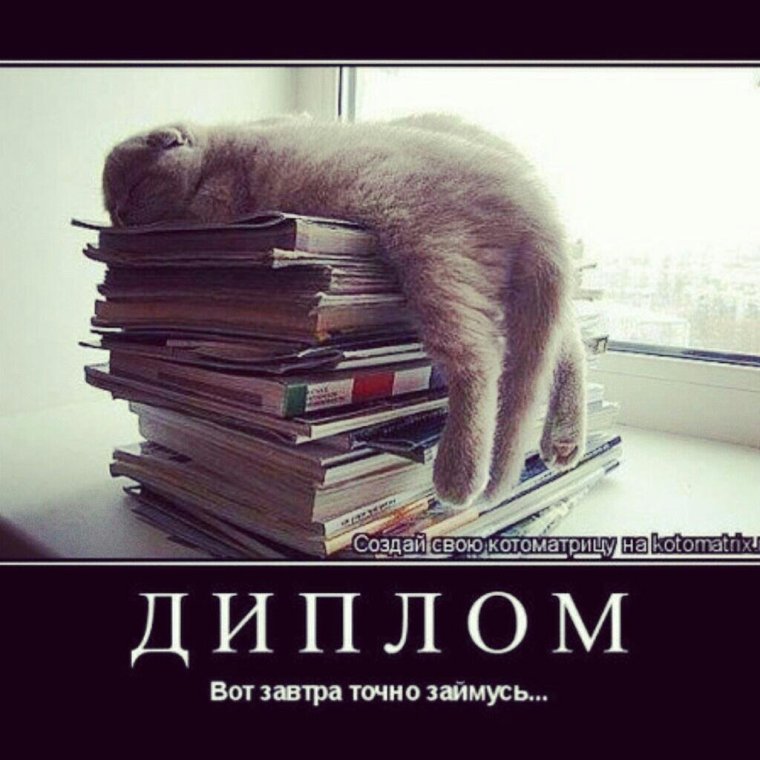 Грамота от начальника е ты молодец