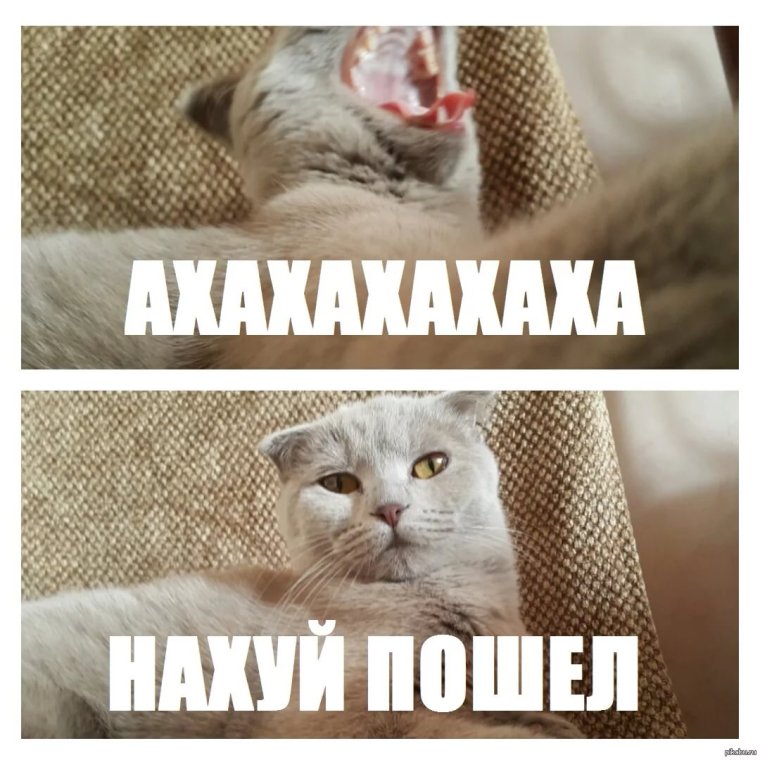 Анекдоты смешные до слез