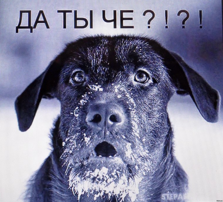 Мемы Пинтерест