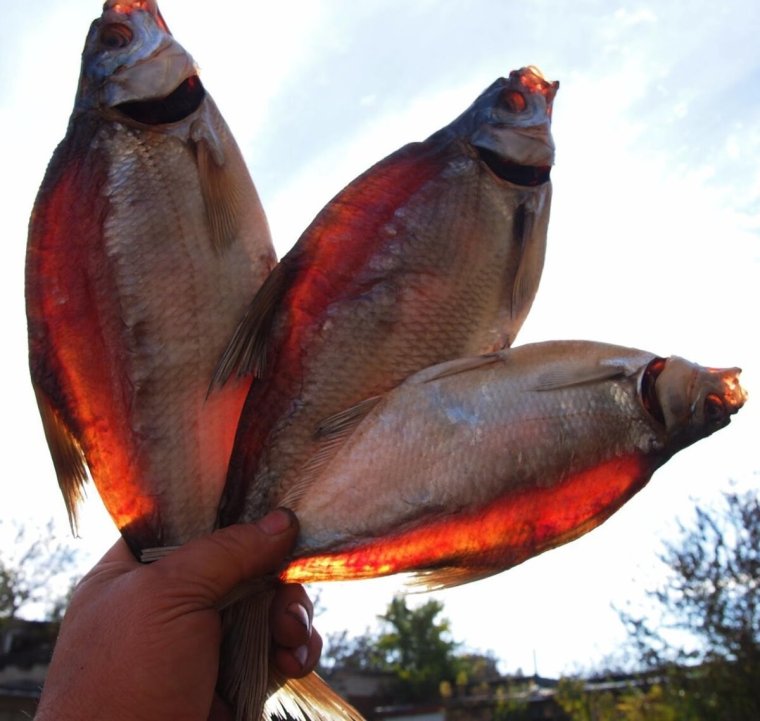 Рыба к пиву