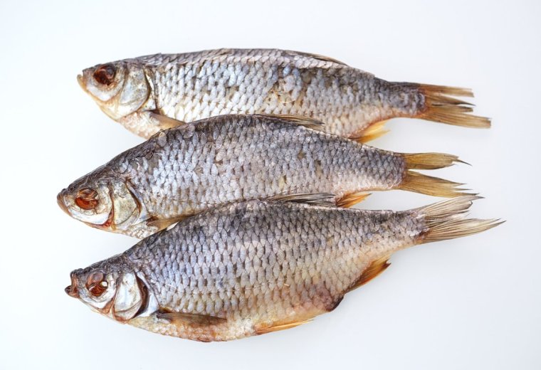 Даша Деревянкина Стефано