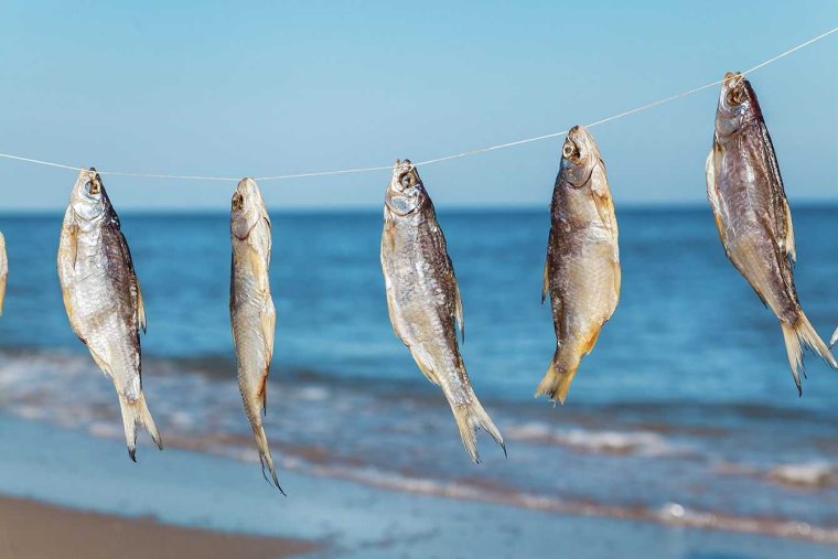 Вобла и тарань