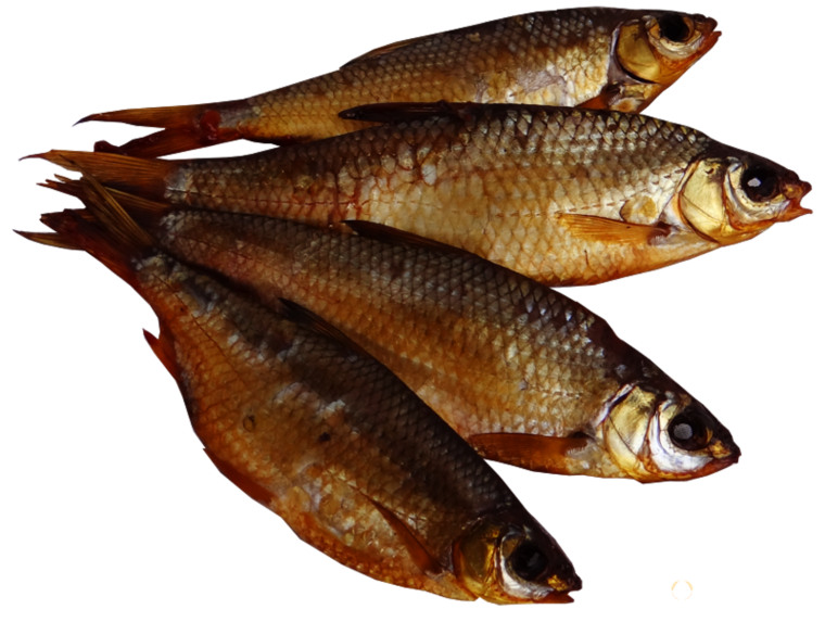 Дарья Зари́цкая