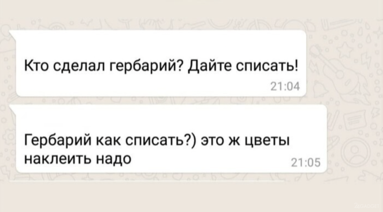 Родительский чат юмор