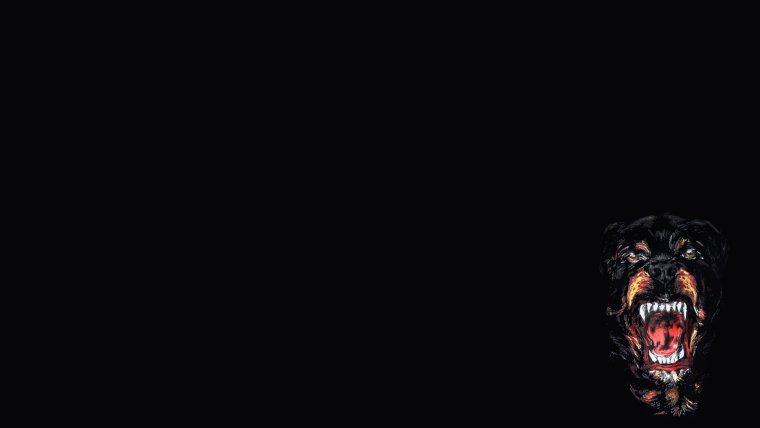 Собака на темном фоне