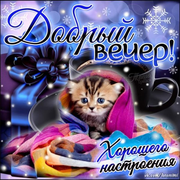 Добрый вечер котятки
