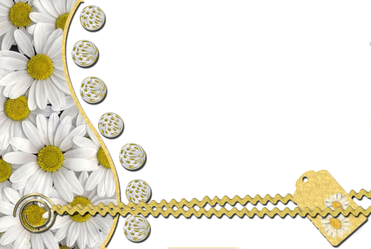 Рамка ромашки